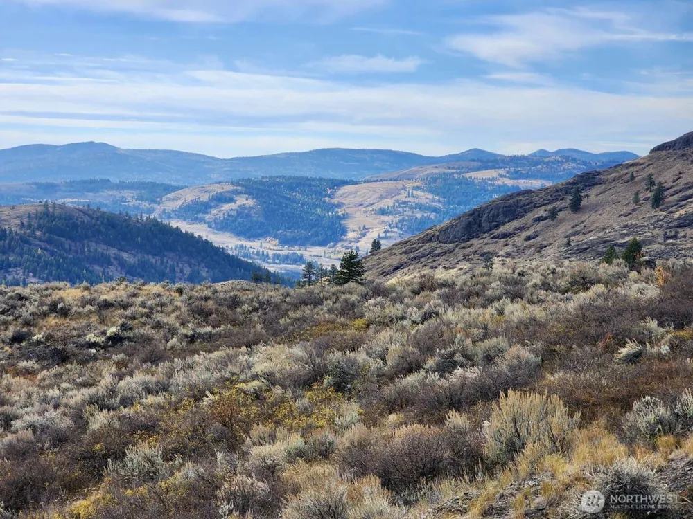 48 Oleander Road Republic, WA 99166