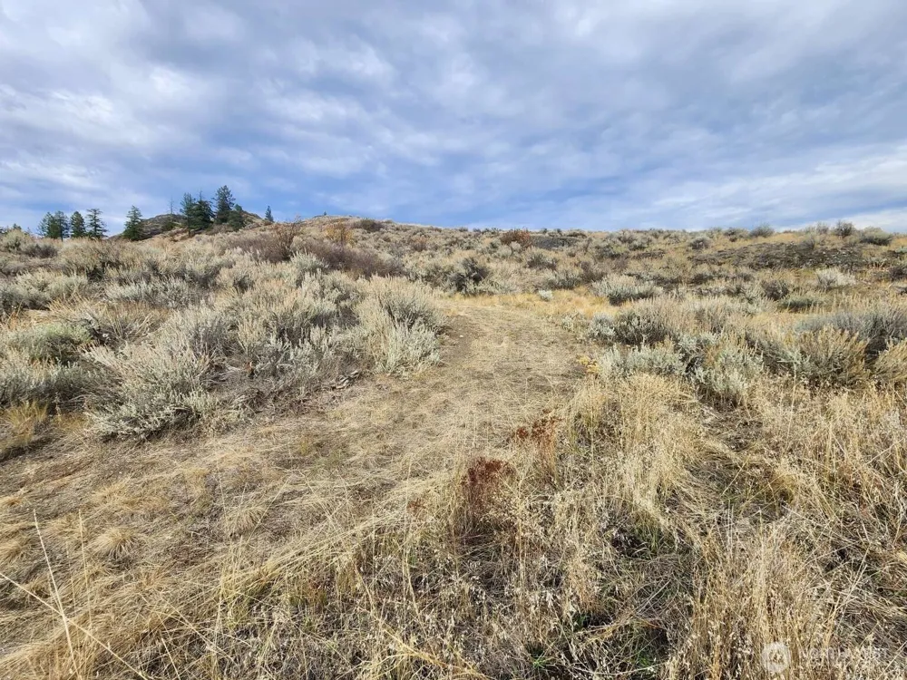 48 Oleander Road Republic, WA 99166