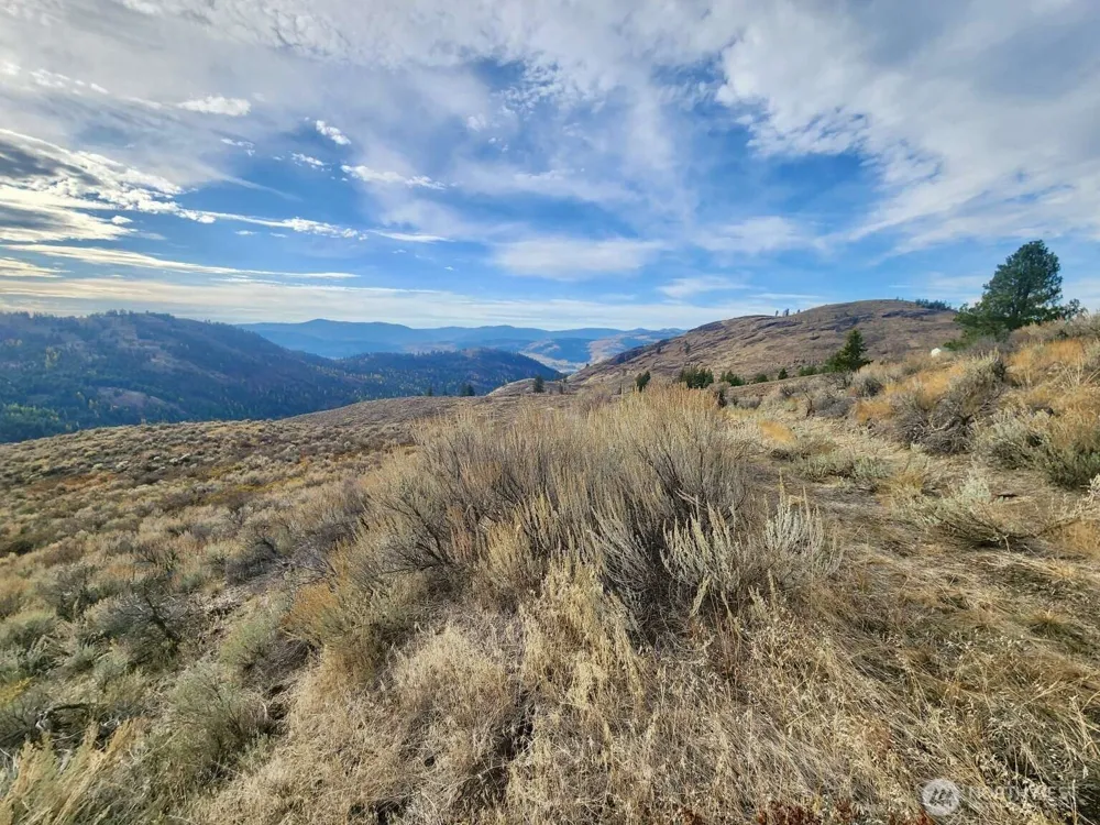 48 Oleander Road Republic, WA 99166