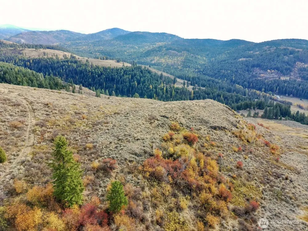 48 Oleander Road Republic, WA 99166