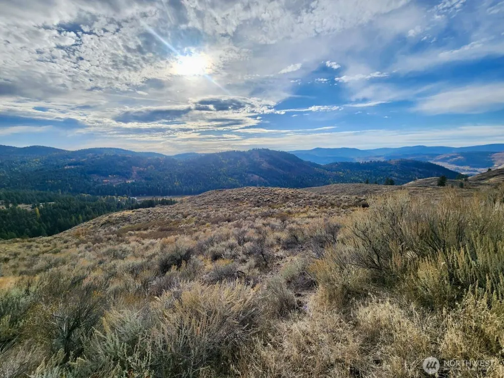 48 Oleander Road Republic, WA 99166