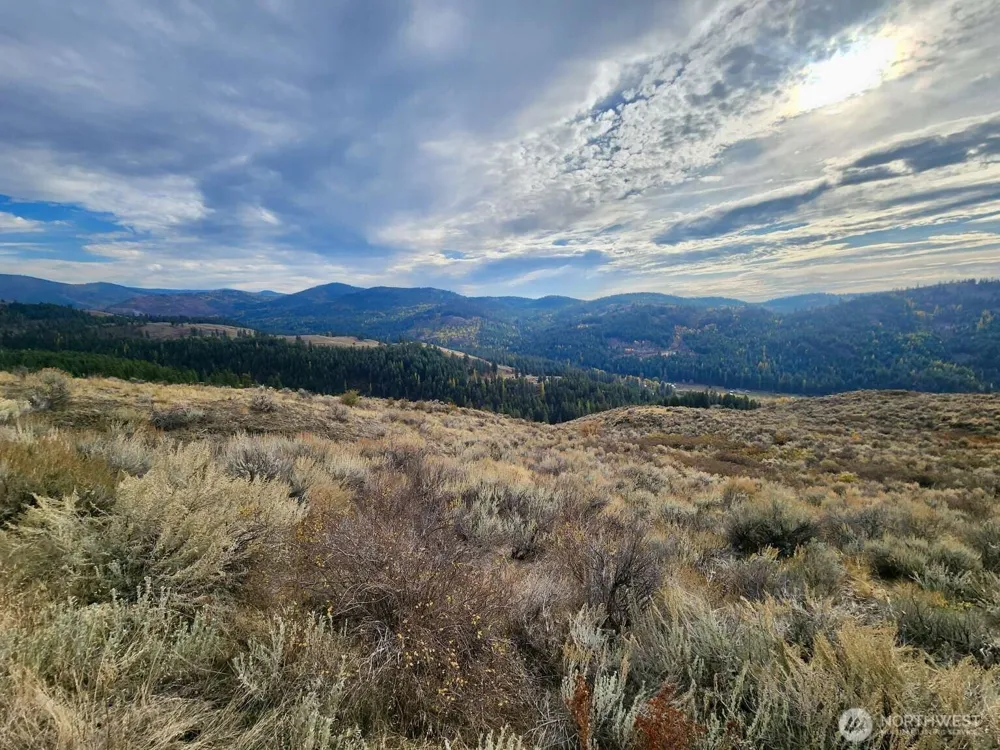 48 Oleander Road Republic, WA 99166