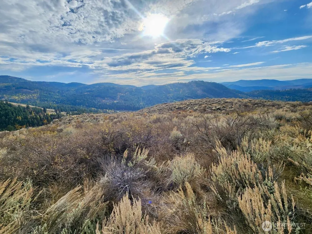 48 Oleander Road Republic, WA 99166