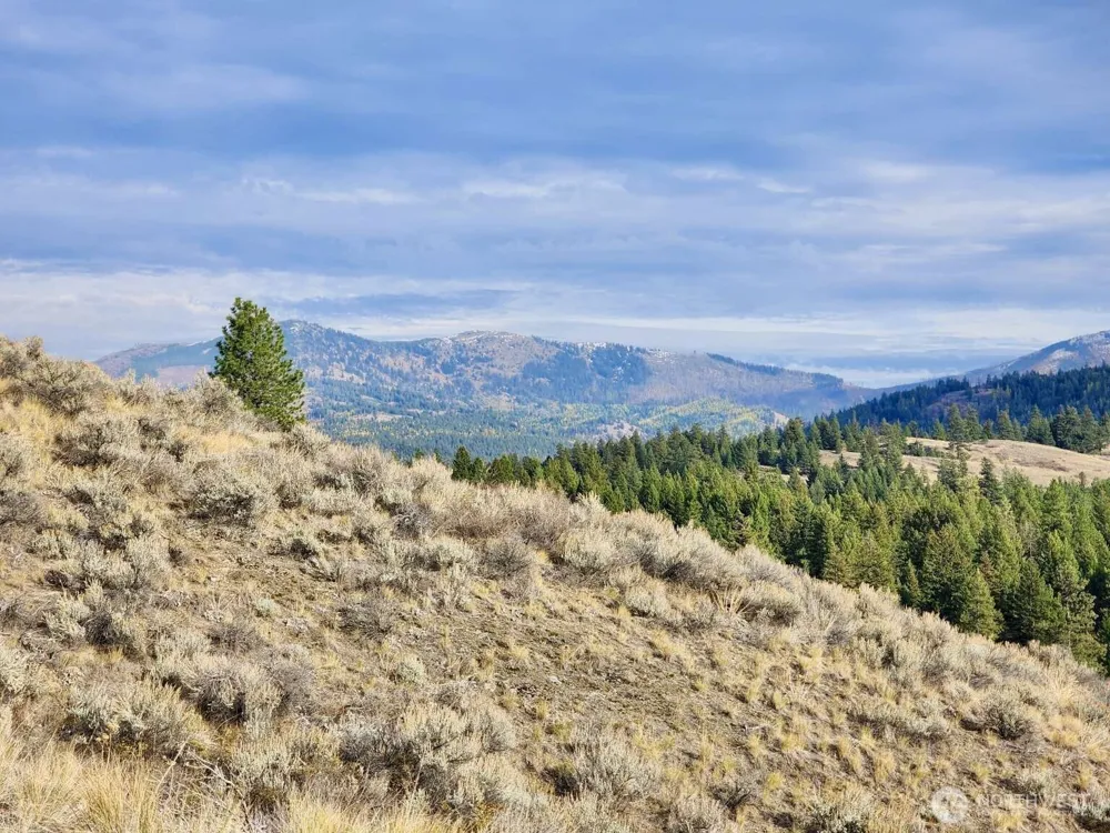 48 Oleander Road Republic, WA 99166