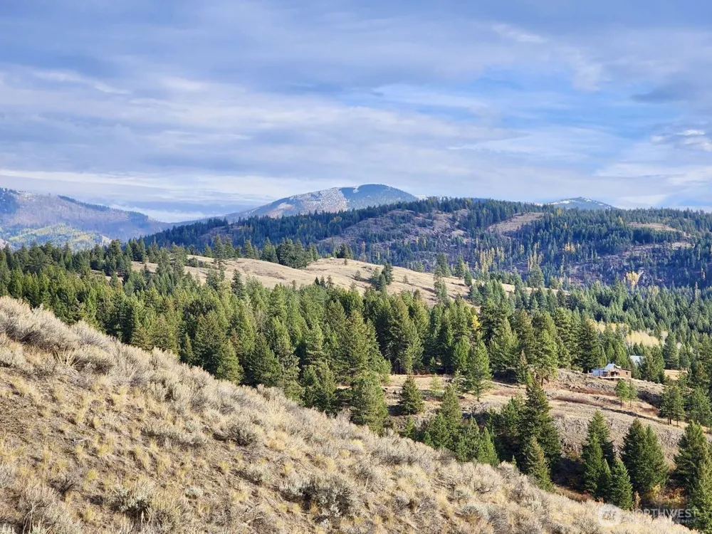 48 Oleander Road Republic, WA 99166