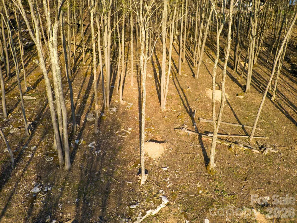 S-92 Talon Trail Banner Elk, NC 28604