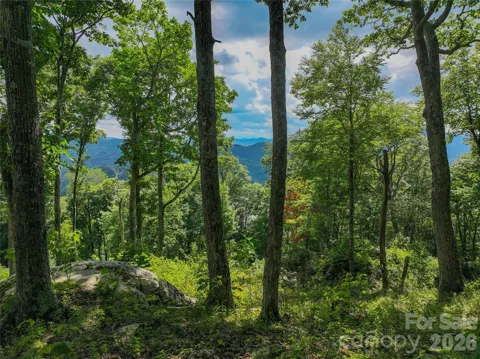 G30 Lodge Woods Trail