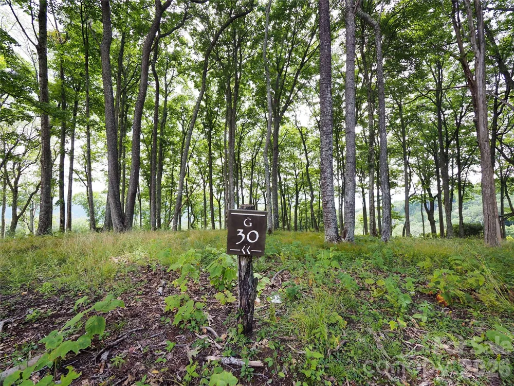 G30 Lodge Woods Trail Banner Elk, NC 28604