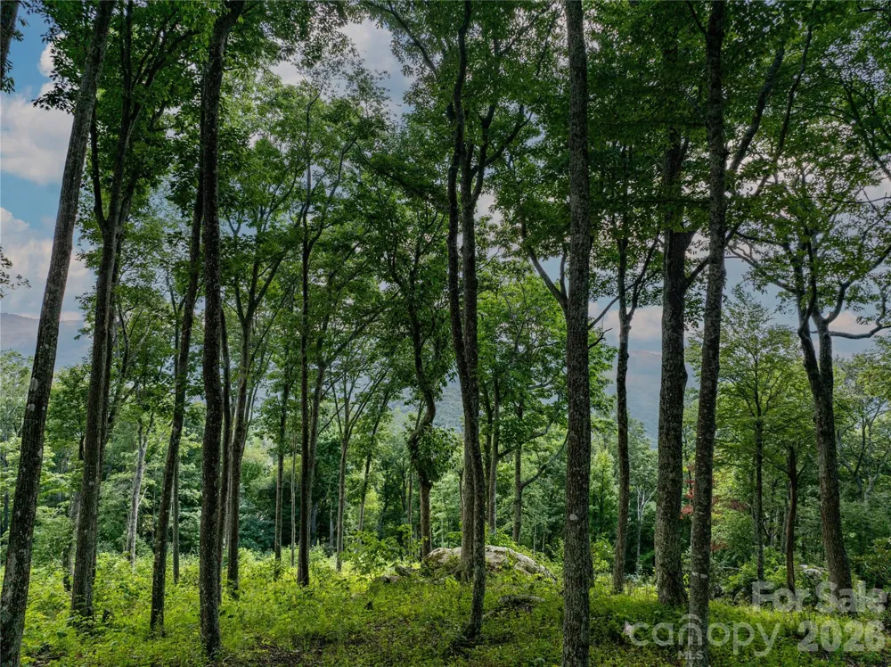 G30 Lodge Woods Trail Banner Elk, NC 28604