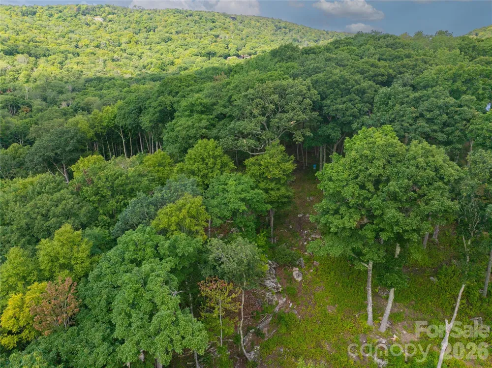 G30 Lodge Woods Trail Banner Elk, NC 28604