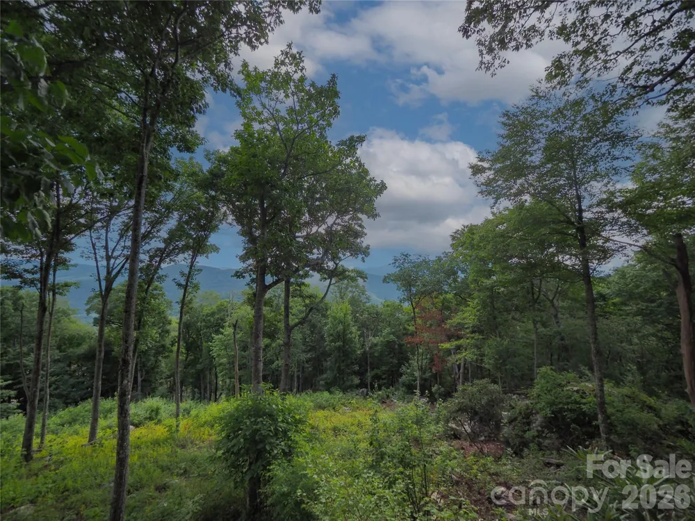 G30 Lodge Woods Trail Banner Elk, NC 28604