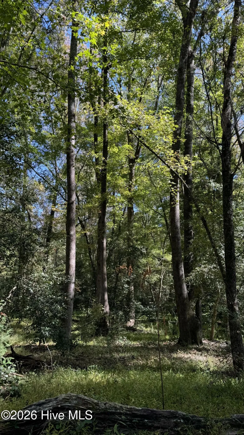 0 Union Church Road Cameron, NC 28326