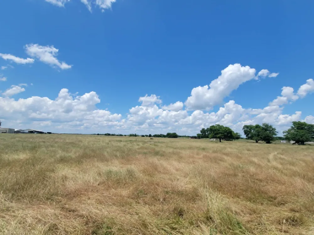 County Road 4720 Wolfe City, TX 75496