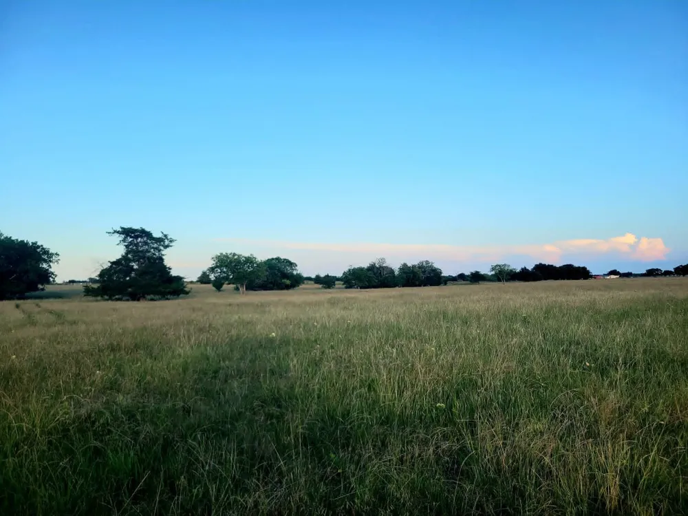 County Road 4720 Wolfe City, TX 75496