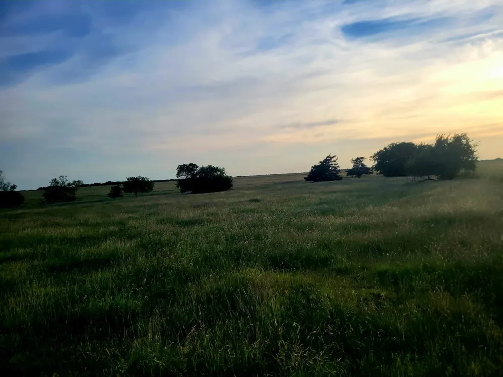 County Road 4720 Wolfe City, TX 75496