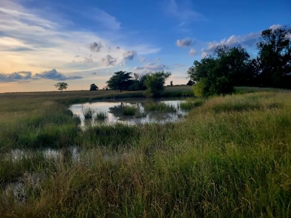 County Road 4720 Wolfe City, TX 75496
