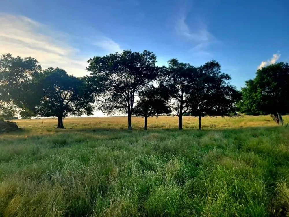 County Road 4720 Wolfe City, TX 75496