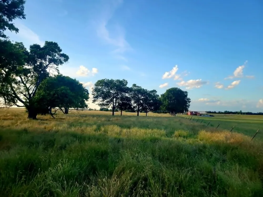 County Road 4720 Wolfe City, TX 75496