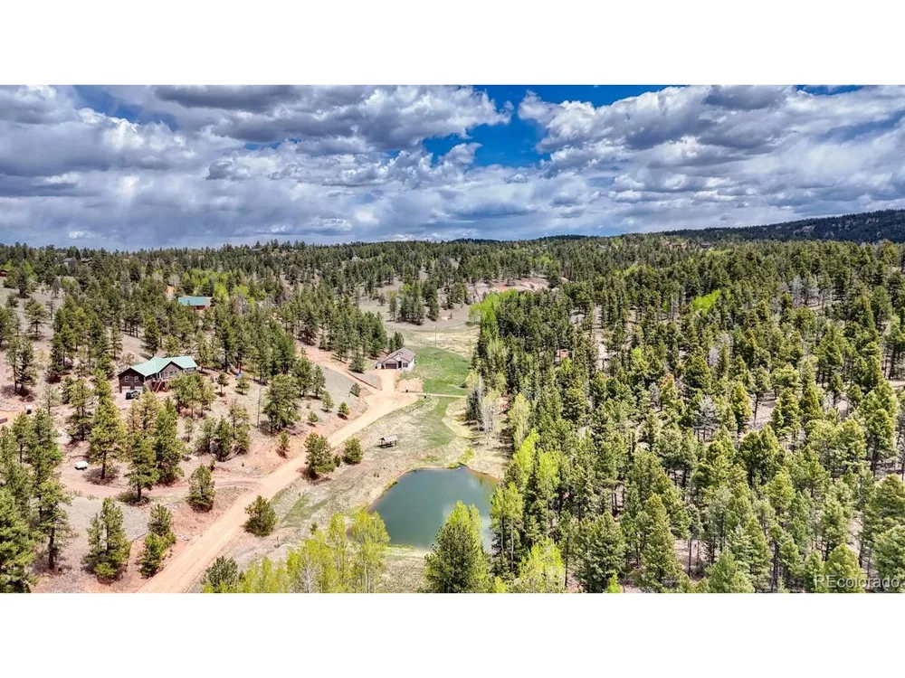 42 Rabbit Circle Florissant, CO 80816