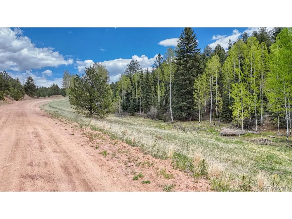 42 Rabbit Circle Florissant, CO 80816