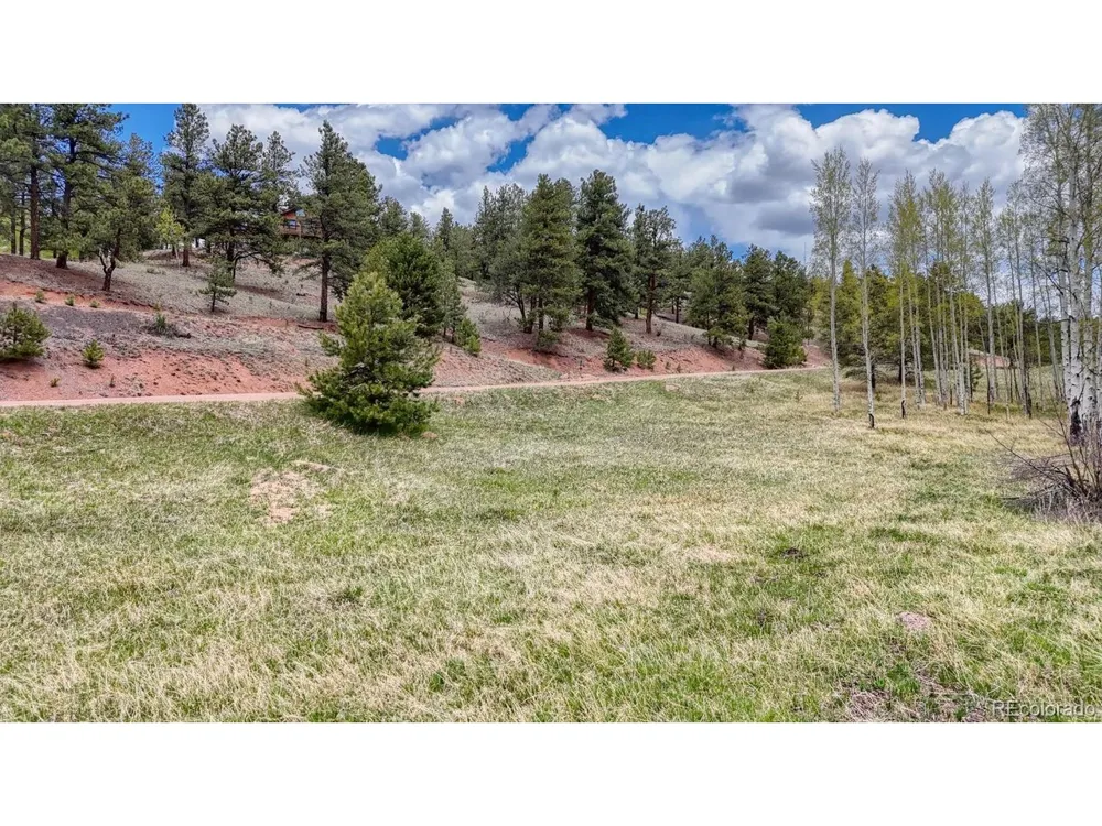 42 Rabbit Circle Florissant, CO 80816
