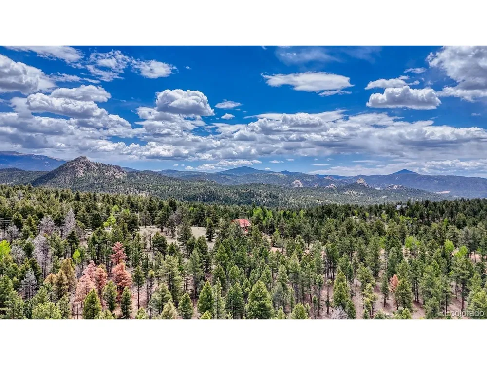 42 Rabbit Circle Florissant, CO 80816