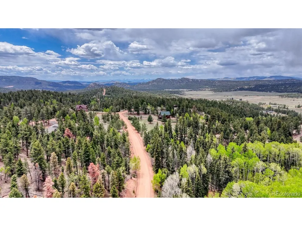 42 Rabbit Circle Florissant, CO 80816