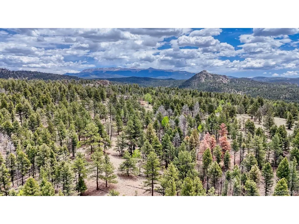 42 Rabbit Circle Florissant, CO 80816