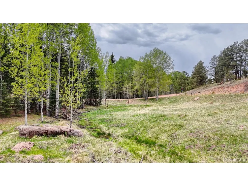42 Rabbit Circle Florissant, CO 80816