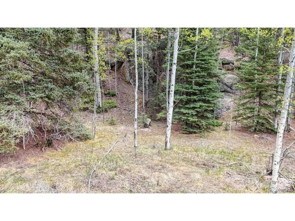 42 Rabbit Circle Florissant, CO 80816