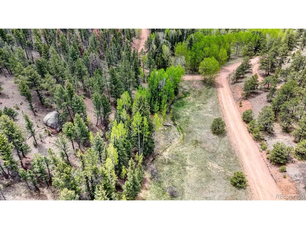42 Rabbit Circle Florissant, CO 80816