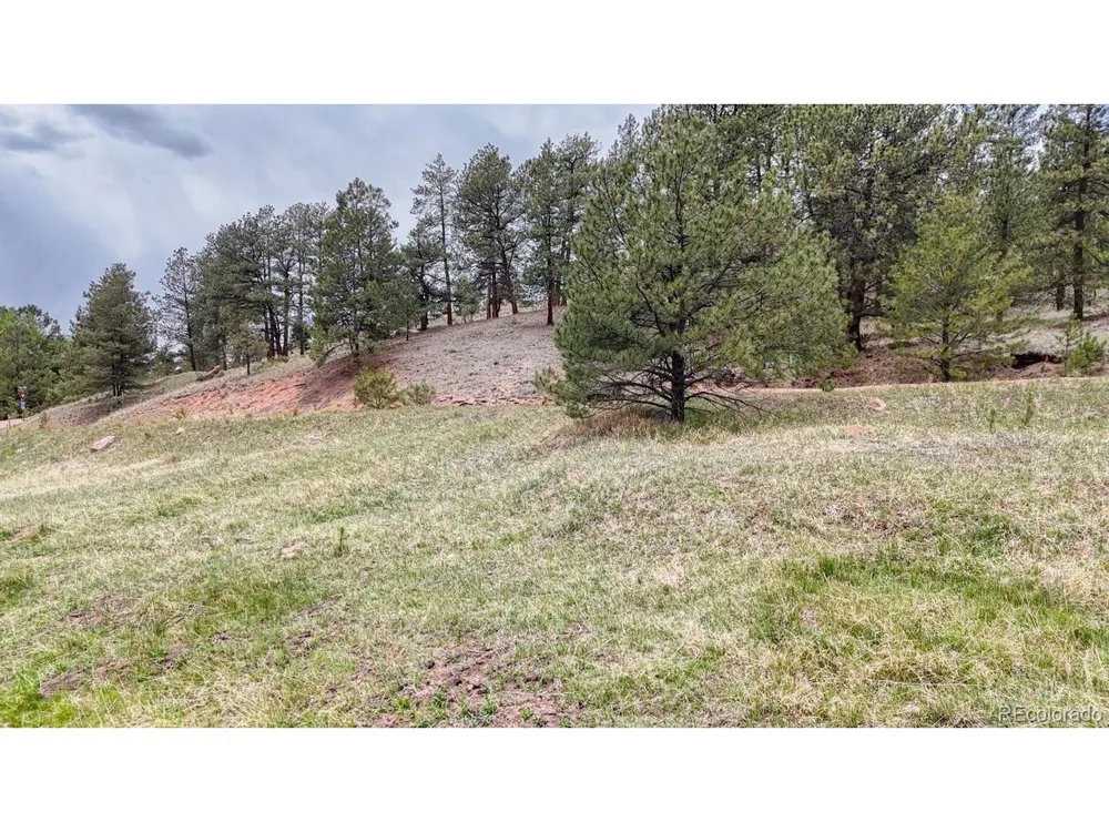 42 Rabbit Circle Florissant, CO 80816