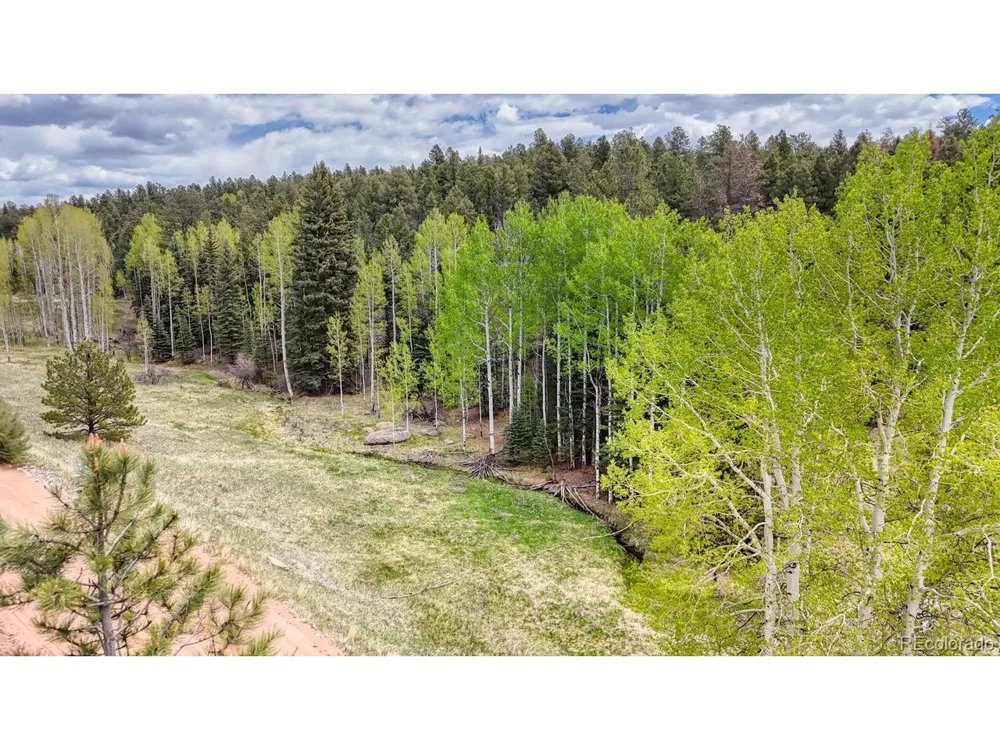 42 Rabbit Circle Florissant, CO 80816