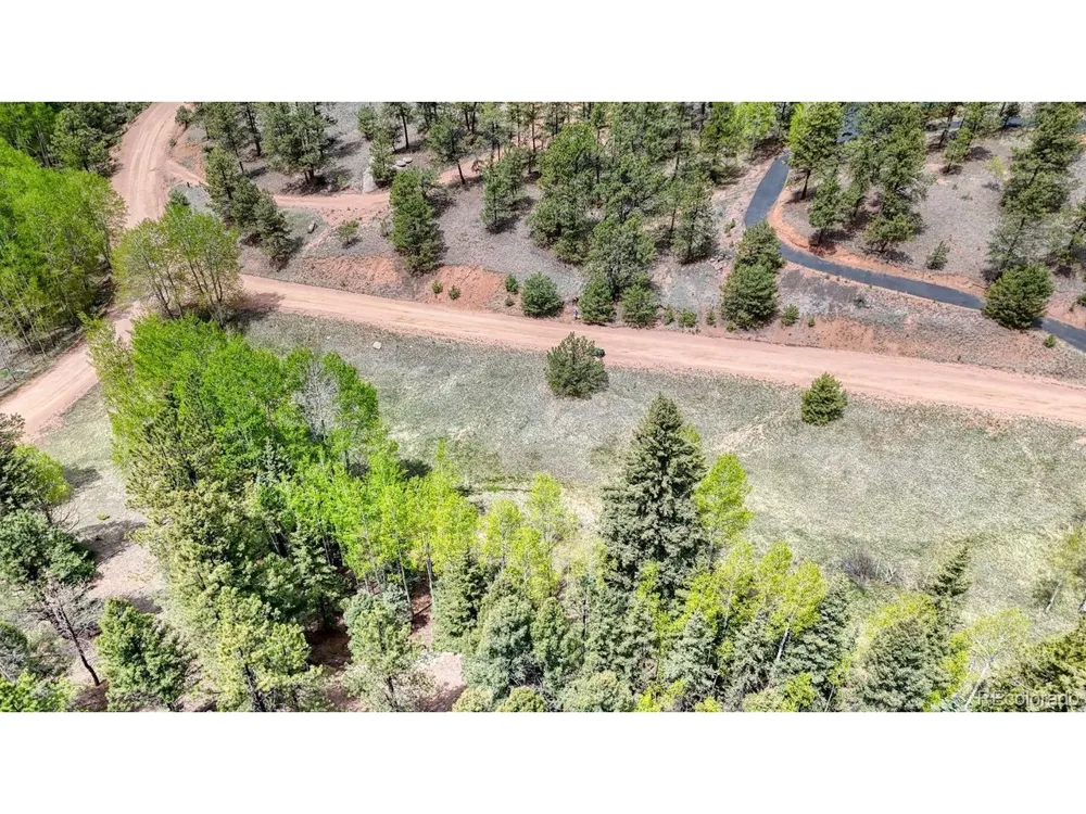 42 Rabbit Circle Florissant, CO 80816