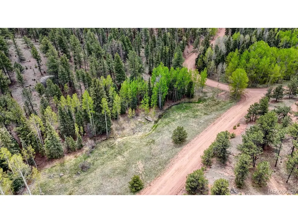 42 Rabbit Circle Florissant, CO 80816