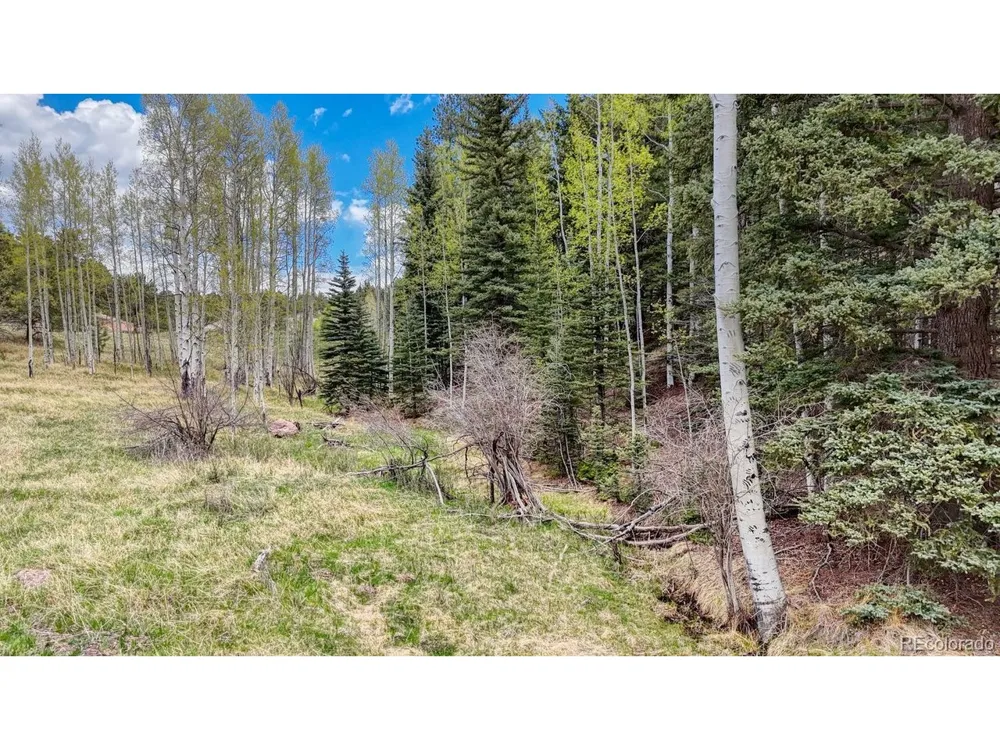 42 Rabbit Circle Florissant, CO 80816