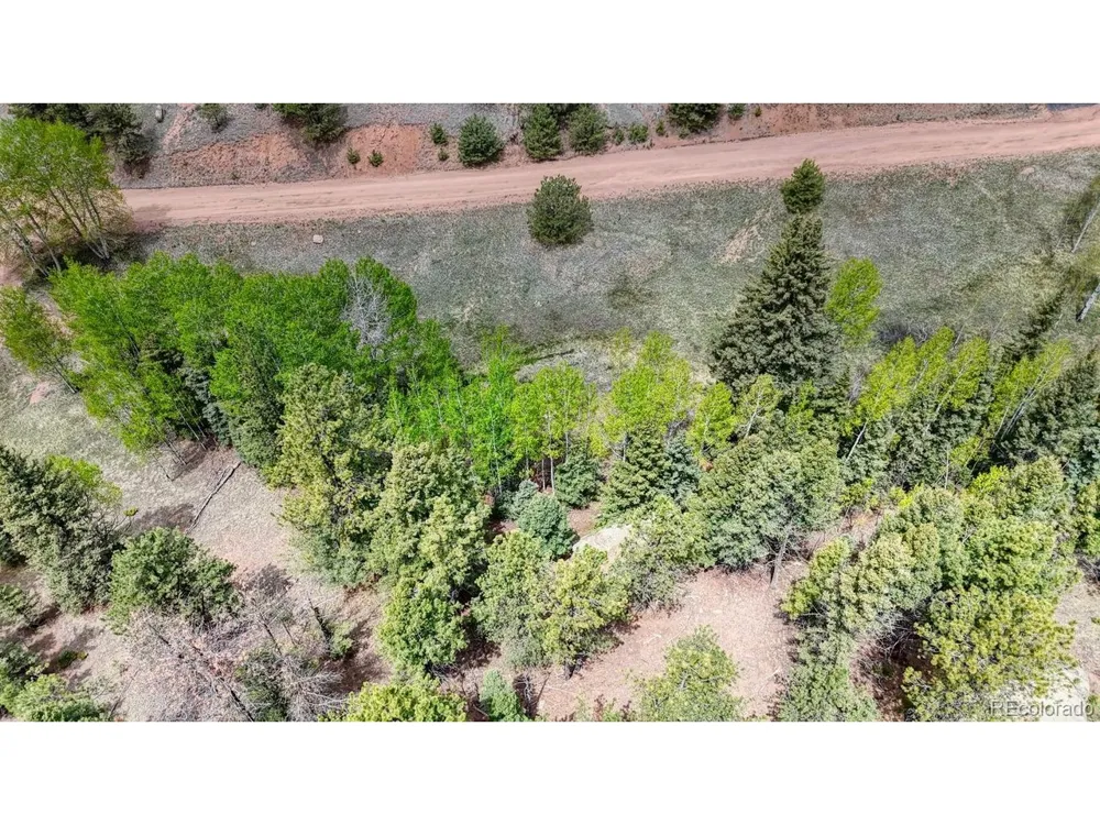 42 Rabbit Circle Florissant, CO 80816