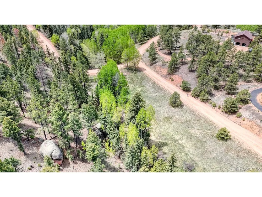 42 Rabbit Circle Florissant, CO 80816