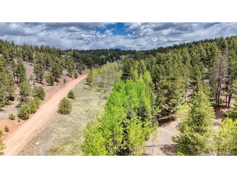 42 Rabbit Circle Florissant, CO 80816