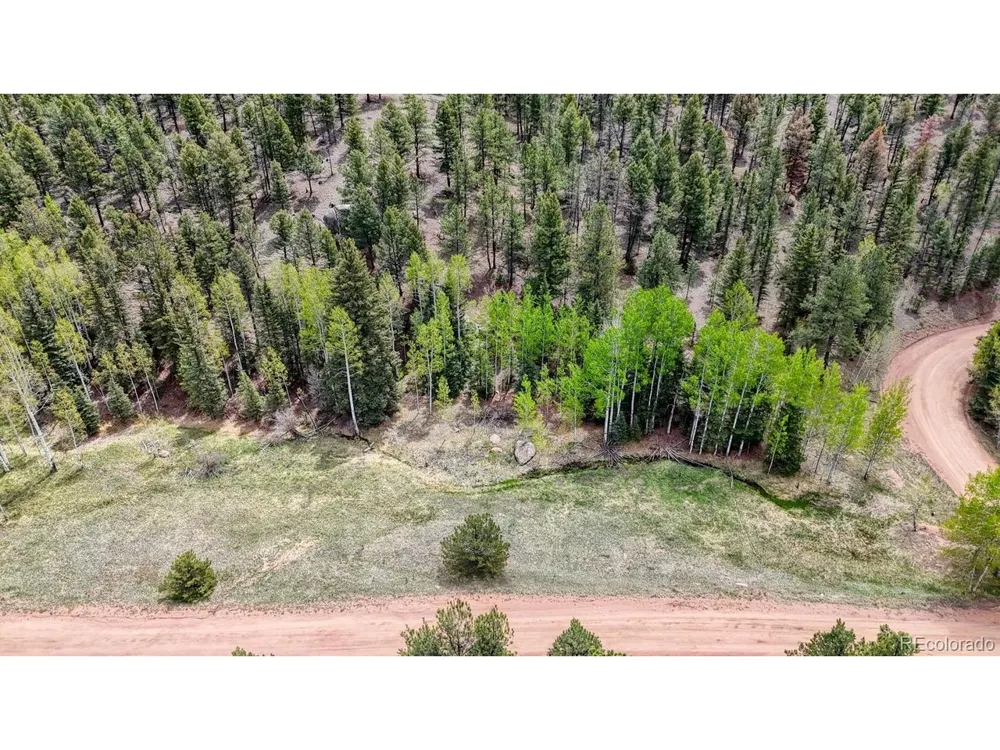 42 Rabbit Circle Florissant, CO 80816