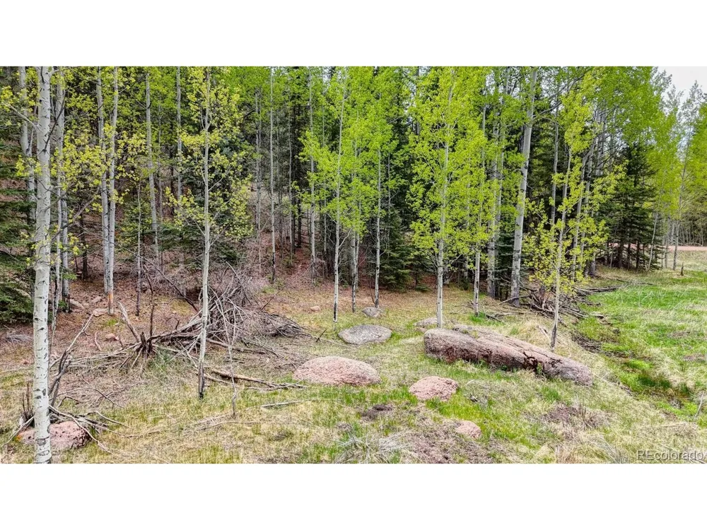 42 Rabbit Circle Florissant, CO 80816