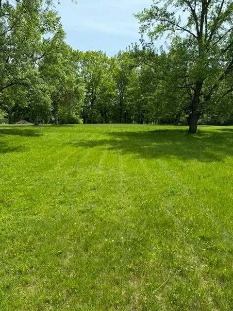 Paw Paw Avenue