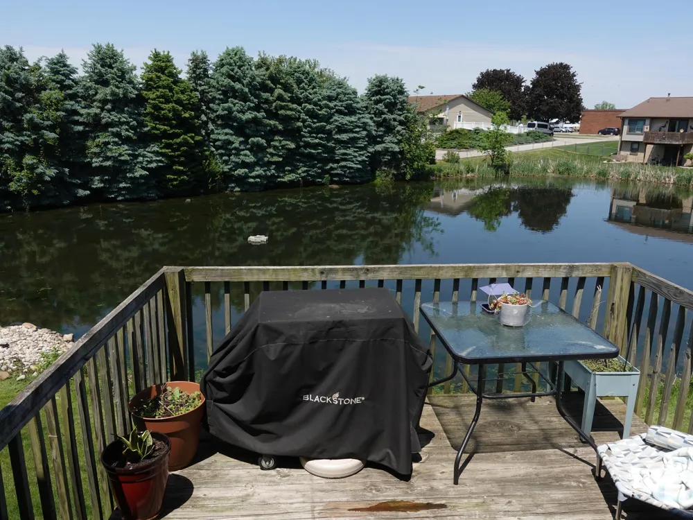 2931 Porter Court SW Grandville, MI 49418