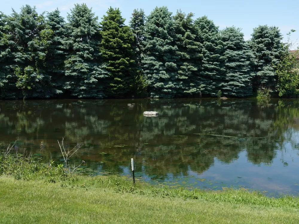 2931 Porter Court SW Grandville, MI 49418