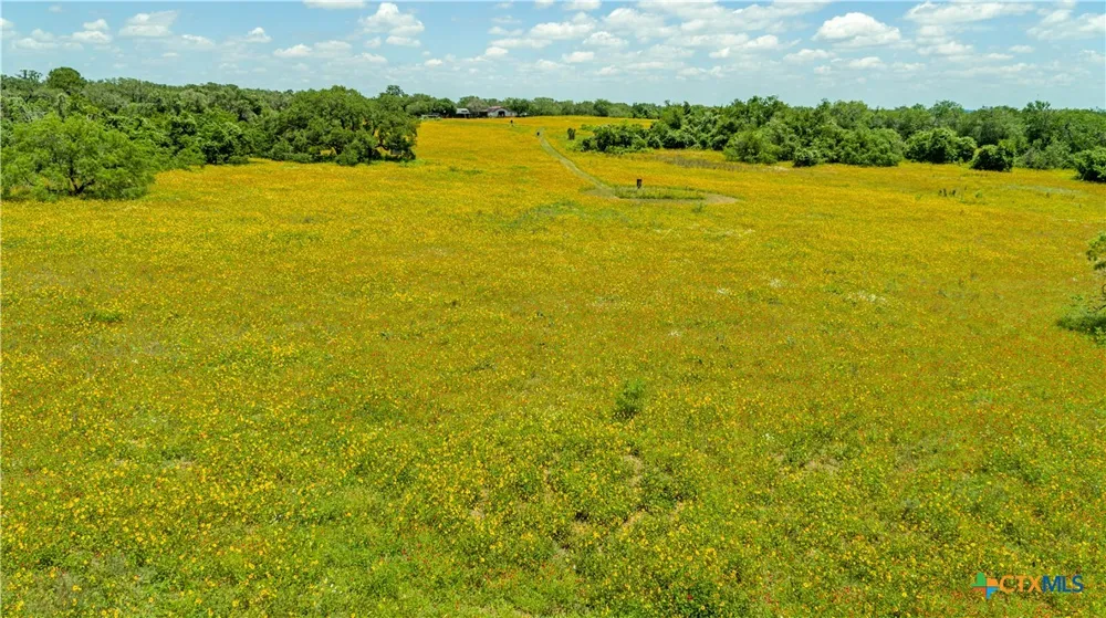 9393 US Highway 87 Westhoff, TX 77994