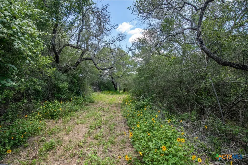 9393 US Highway 87 Westhoff, TX 77994