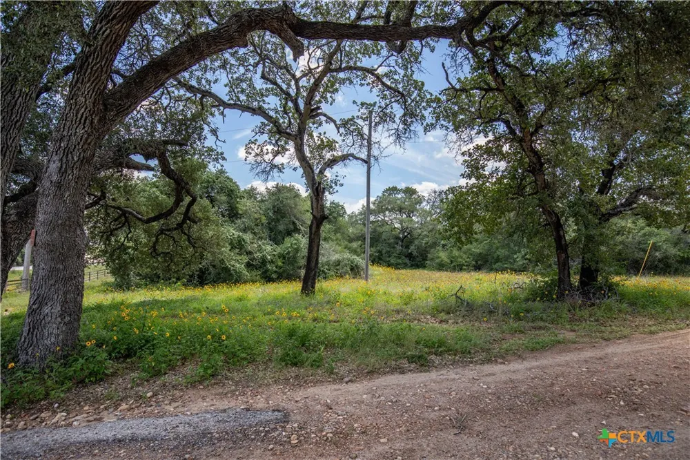 9393 US Highway 87 Westhoff, TX 77994