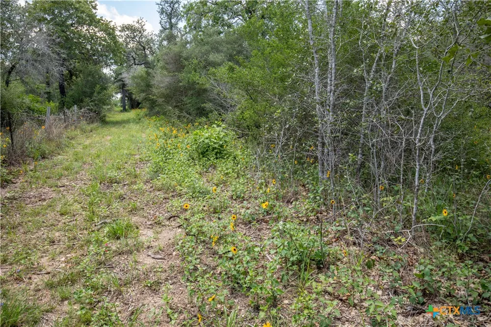 9393 US Highway 87 Westhoff, TX 77994