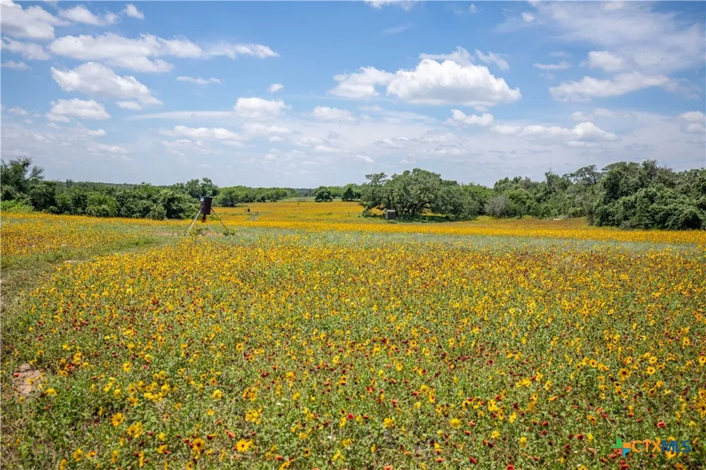 9393 US Highway 87 Westhoff, TX 77994
