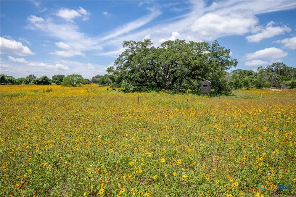 9393 US Highway 87 Westhoff, TX 77994